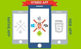 Hybrid Mobile Application Development